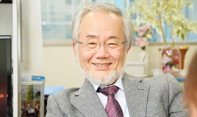 Därför är Yoshinori Ohsumi årets Nobelpristagare i medicin